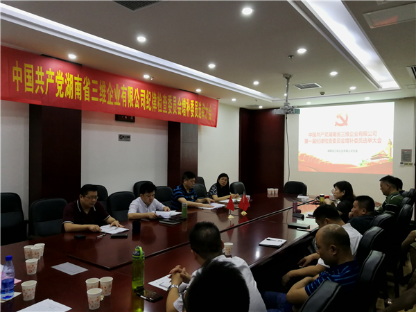 三維企業(yè)召開紀律檢查委員會增補委員選舉大會